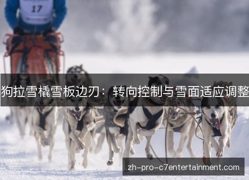 狗拉雪橇雪板边刃：转向控制与雪面适应调整
